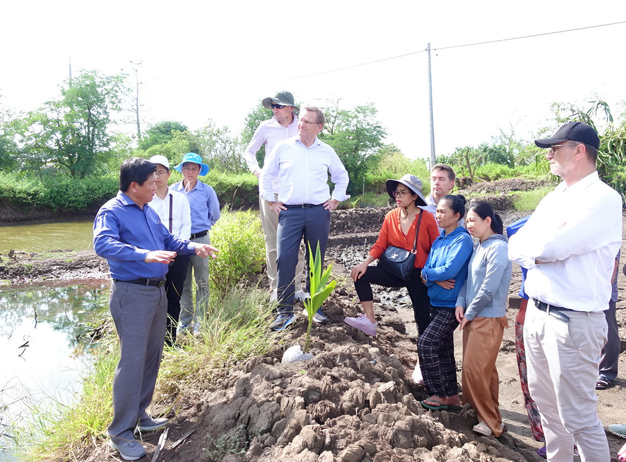 Liên minh châu Âu khảo sát thực địa đê biển Tây Cà Mau