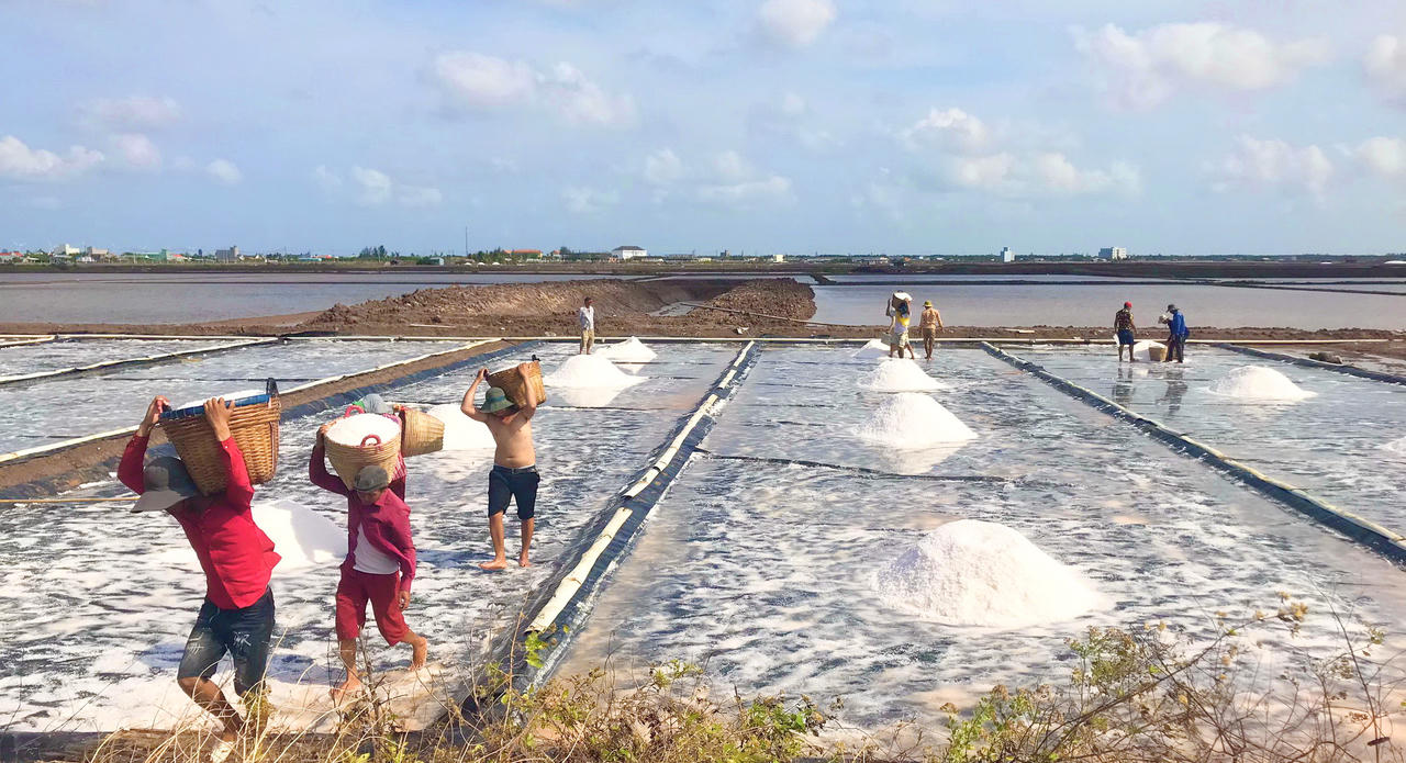 Sắp diễn ra Festival muối ở Bạc Liêu 