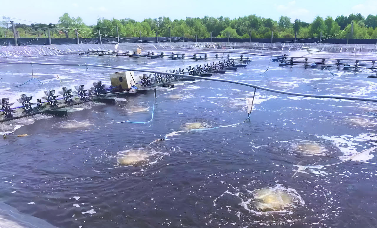 Huyện Đầm Dơi “bứt phá” vượt 16/16 chỉ tiêu về kinh tế - xã hội