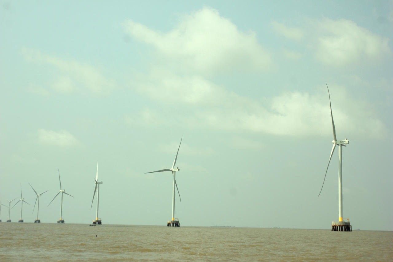 Huyện Đầm Dơi “bứt phá” vượt 16/16 chỉ tiêu về kinh tế - xã hội