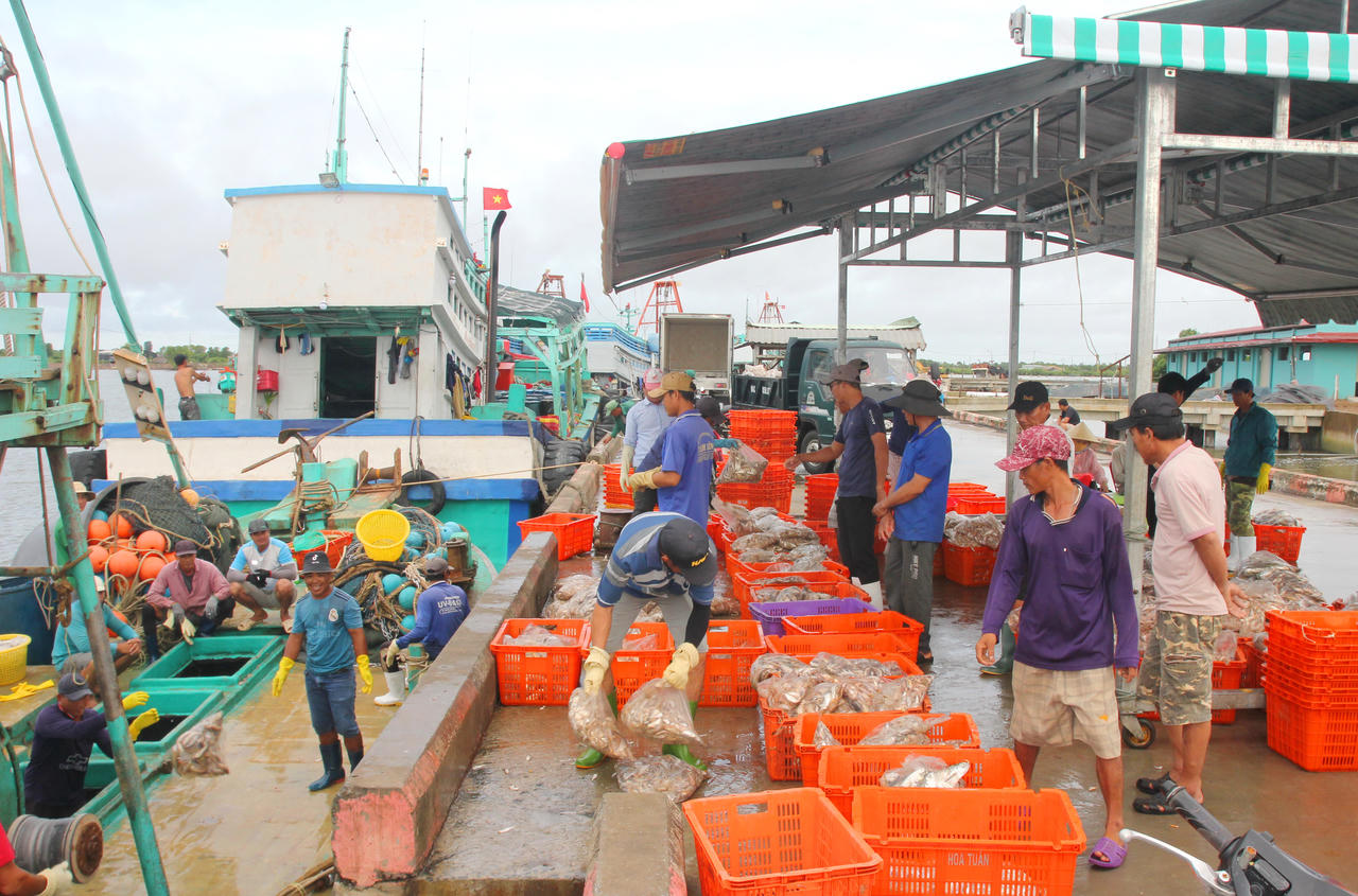 Xây dựng huyện Đông Hải trở thành huyện trọng điểm về kinh tế biển của Bạc Liêu