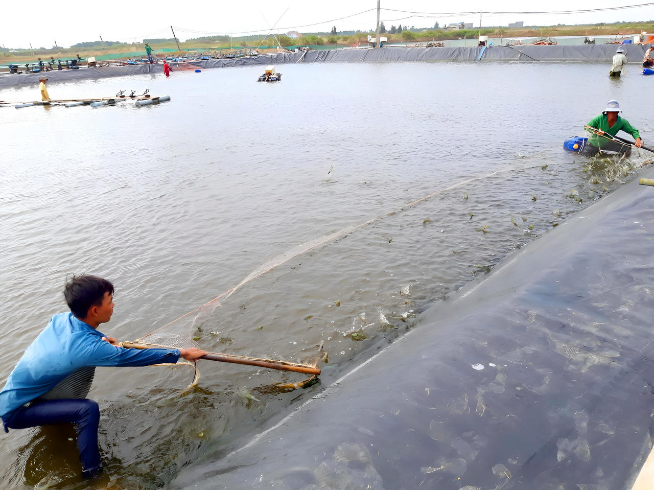 Xây dựng huyện Đông Hải trở thành huyện trọng điểm về kinh tế biển của Bạc Liêu