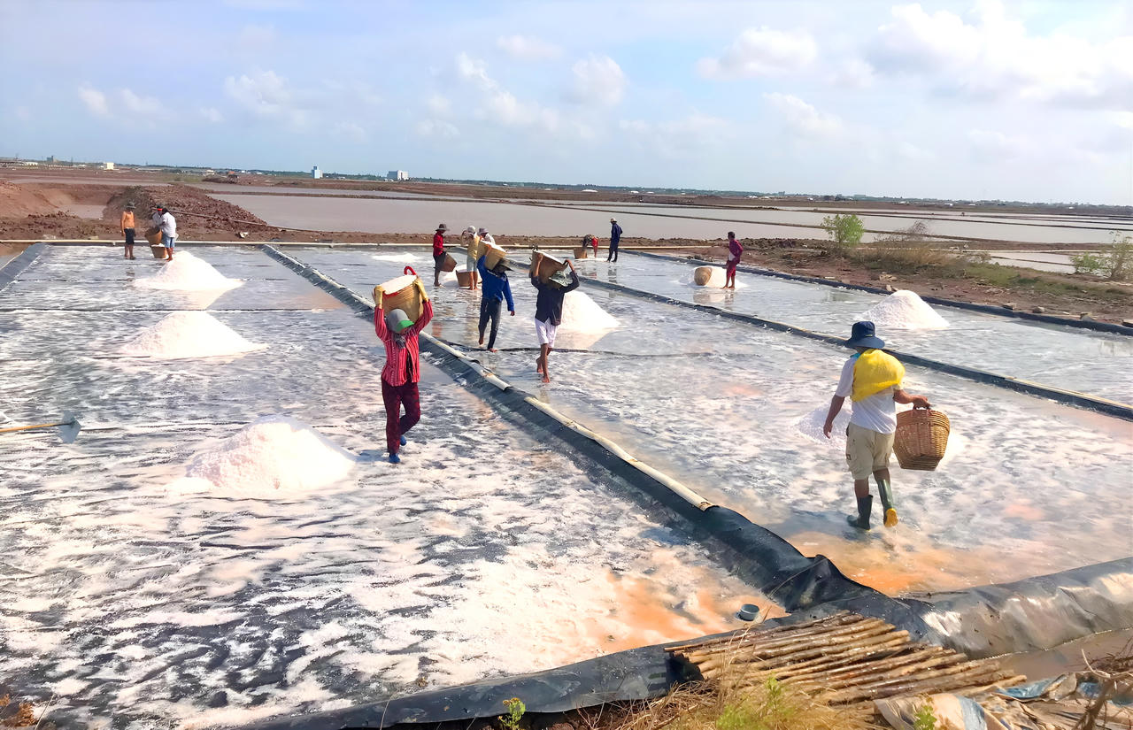 Xây dựng huyện Đông Hải trở thành huyện trọng điểm về kinh tế biển của Bạc Liêu