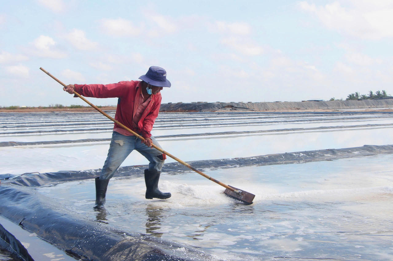 Giá muối tăng, diêm dân đặt nhiều kỳ vọng 
