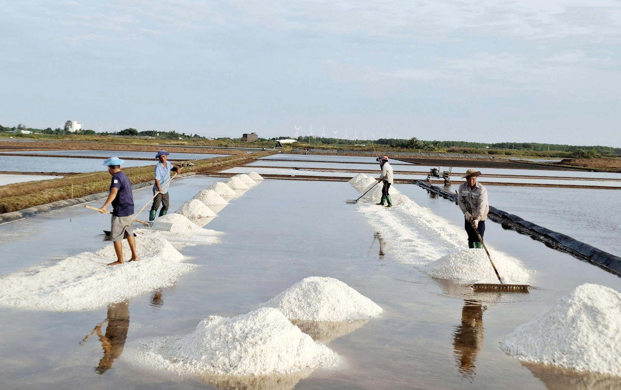 Giá muối tăng, diêm dân đặt nhiều kỳ vọng 