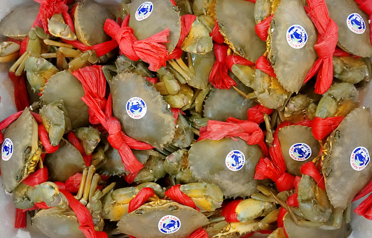 “Cua Năm Căn - Cà Mau” - thương hiệu quý của người Đất Mũi