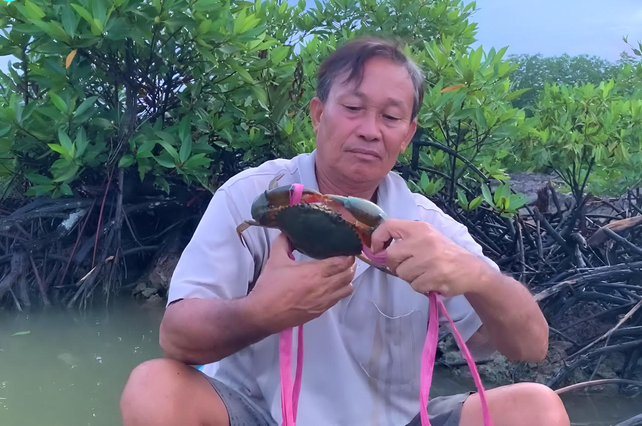 “Cua Năm Căn - Cà Mau” - thương hiệu quý của người Đất Mũi