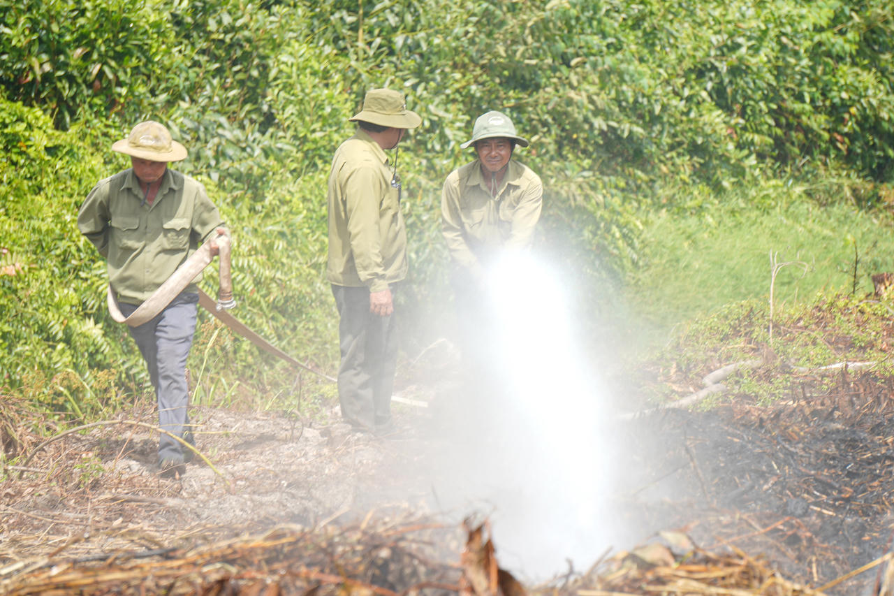 Cà Mau chủ động phòng ngừa cháy rừng từ sớm