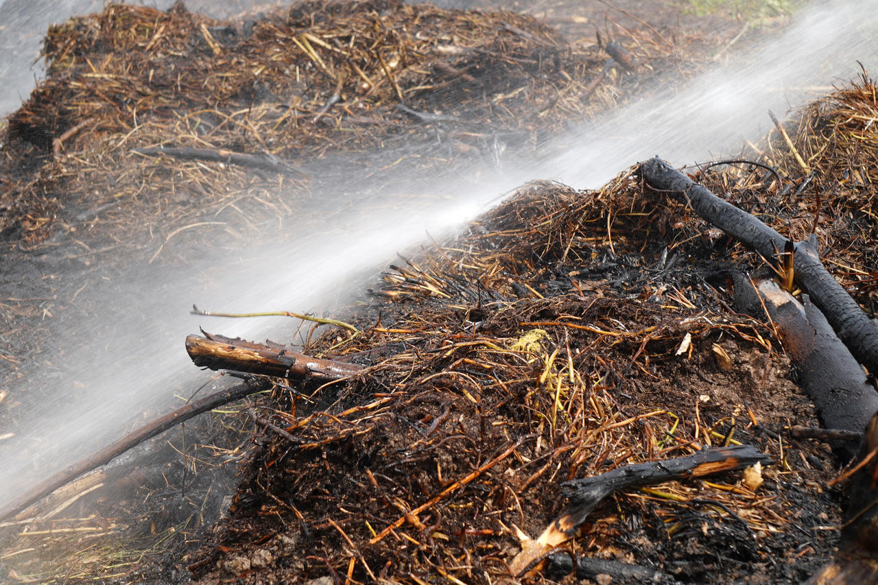 Cà Mau chủ động phòng ngừa cháy rừng từ sớm