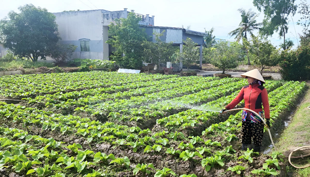Huyện U Minh phấn đấu vượt các chỉ tiêu kinh tế - xã hội