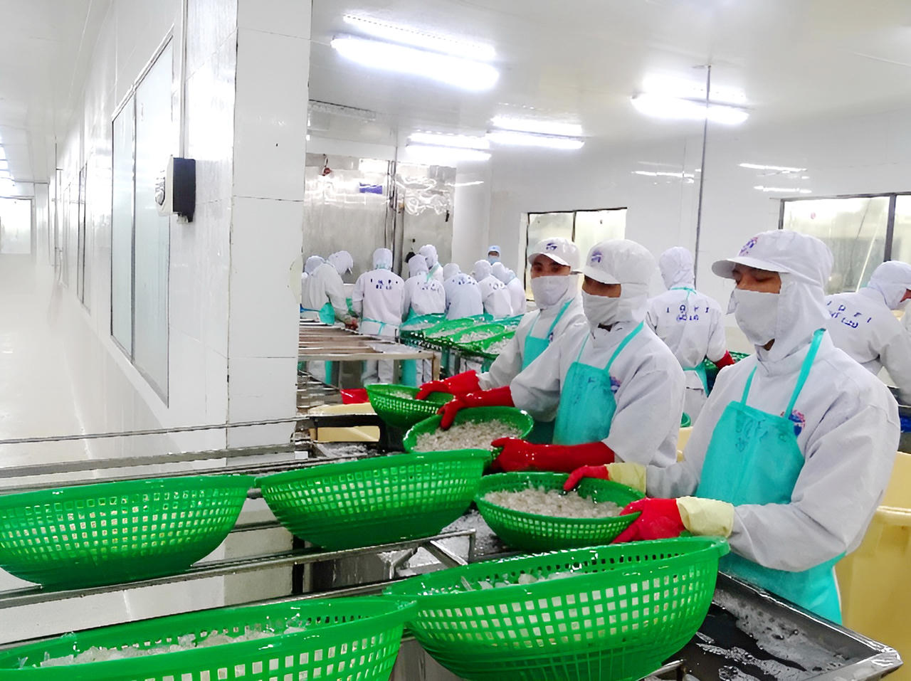 Cà Mau: Nâng cao năng lực cạnh tranh cho doanh nghiệp nhỏ và vừa 