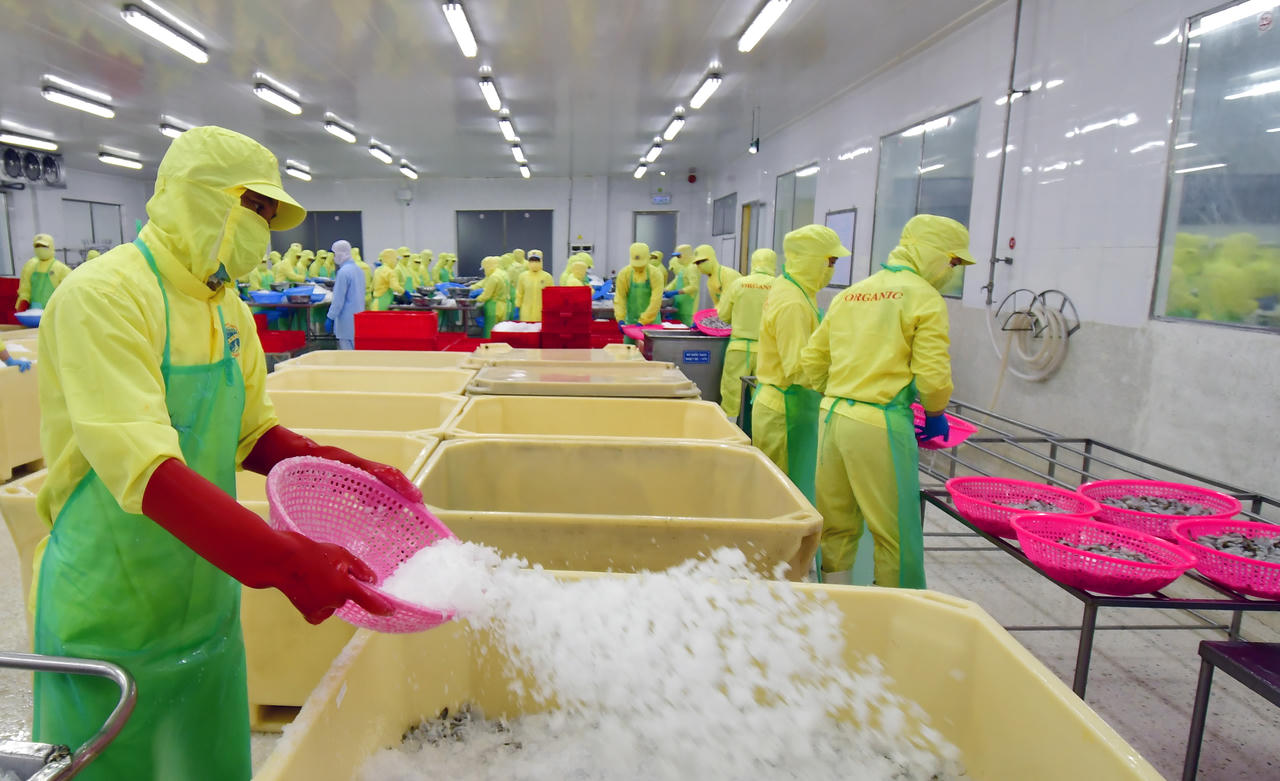 GRDP Cà Mau quý 1/2025 tăng hơn 5%