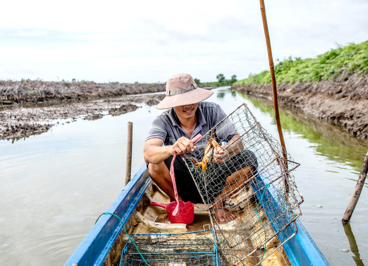 Cà Mau đẩy mạnh sản xuất phát triển ngành hàng cua