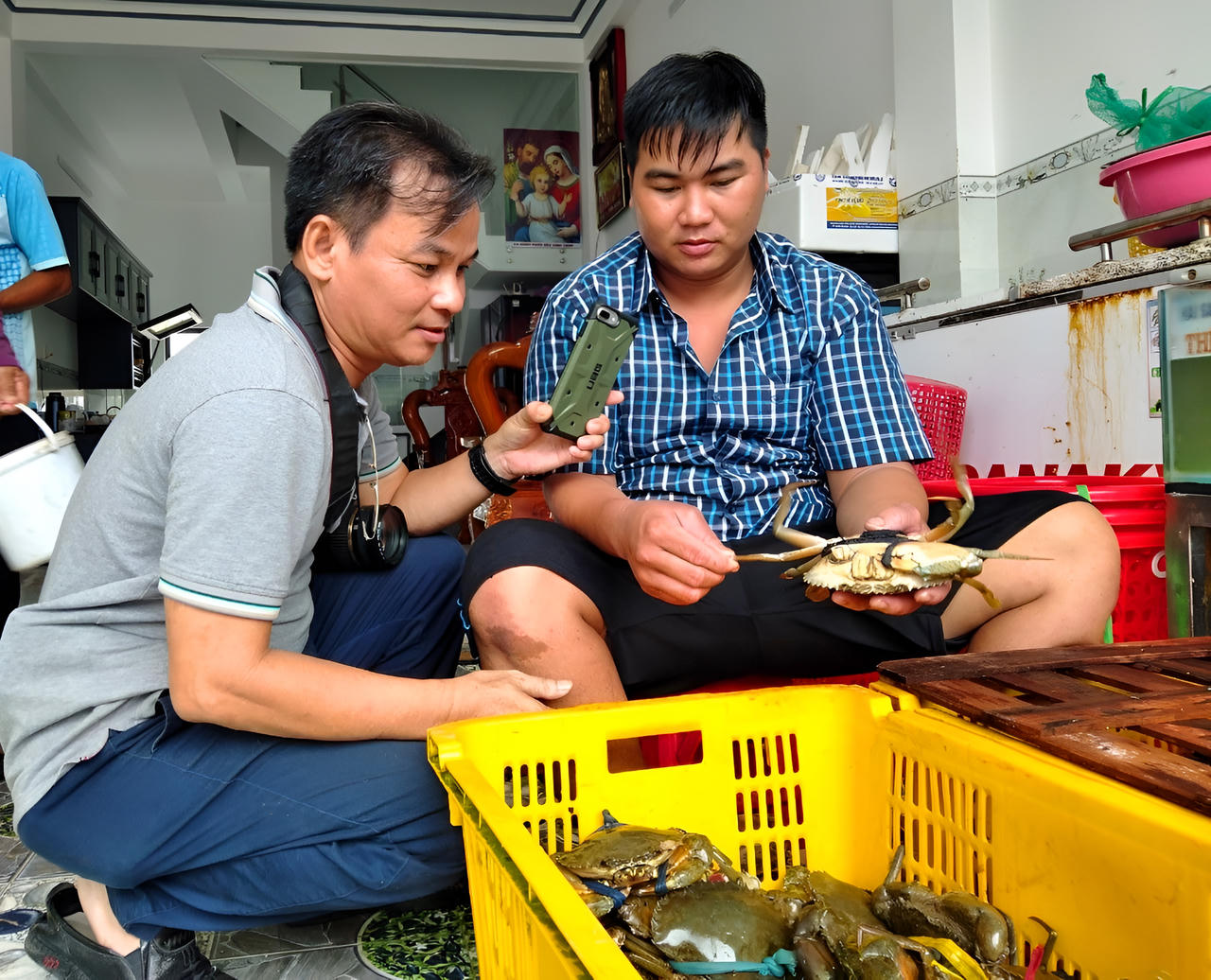 Cà Mau đẩy mạnh sản xuất phát triển ngành hàng cua