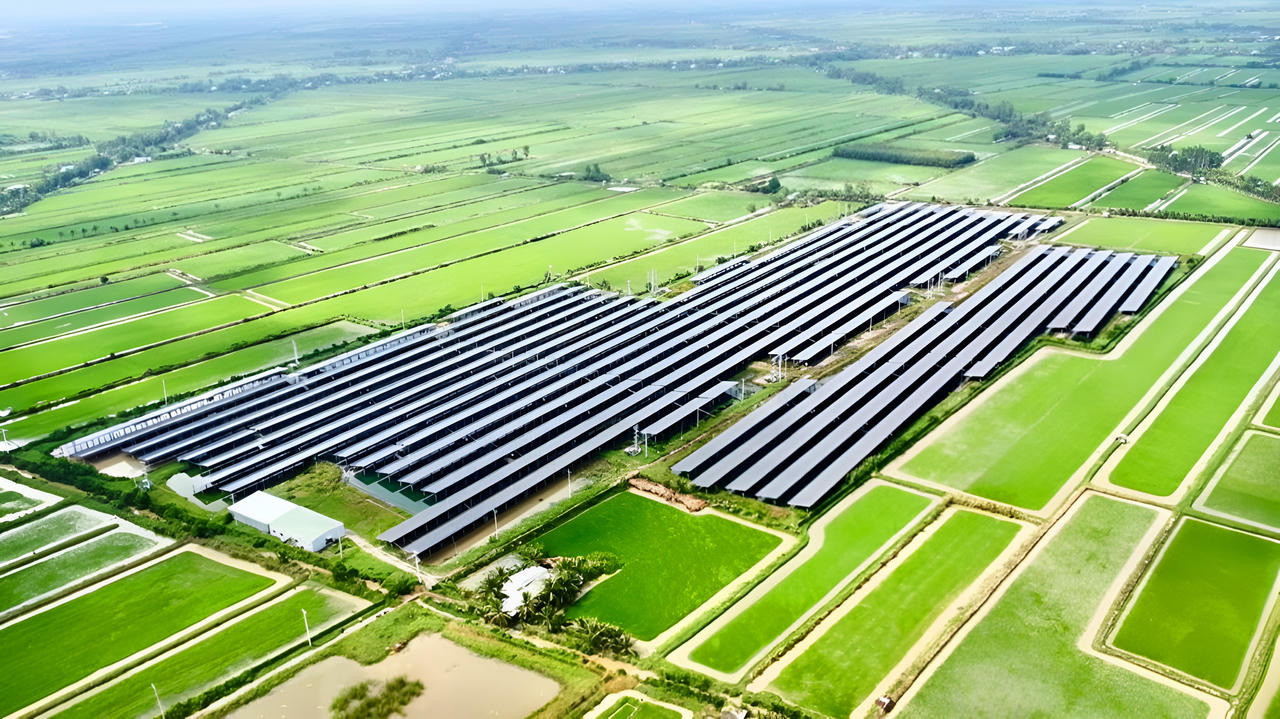 Đưa Bạc Liêu trở thành một trong những Trung tâm năng lượng sạch của quốc gia