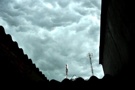 Cây xanh đổ hàng loạt trên phố Hà Nội sau trận mưa lớn