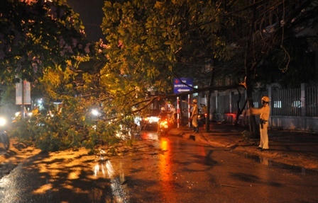 Cây xanh đổ hàng loạt trên phố Hà Nội sau trận mưa lớn