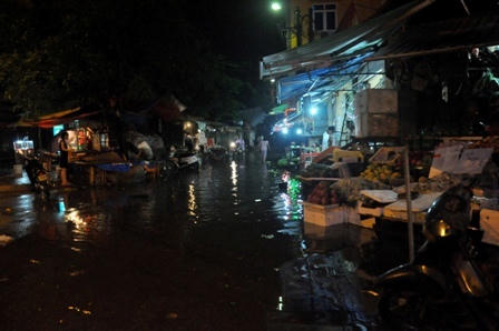 Cây xanh đổ hàng loạt trên phố Hà Nội sau trận mưa lớn