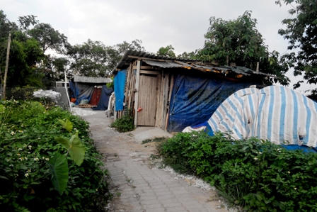 Hà Nội: Người sống “xí chỗ” của người chết ở khu đất nghĩa trang 