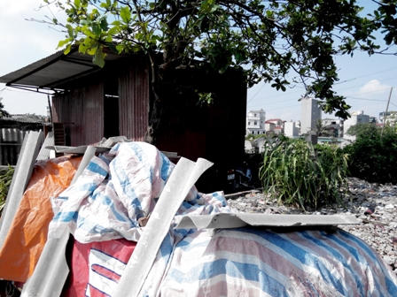 Hà Nội: Người sống “xí chỗ” của người chết ở khu đất nghĩa trang 