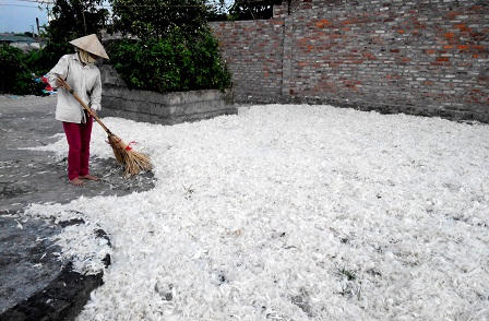 Đợi quy hoạch, người dân tận dụng đất nghĩa trang sản xuất 