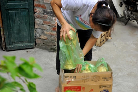 Cúp vàng World Cup 2014… giá 70 nghìn đồng?