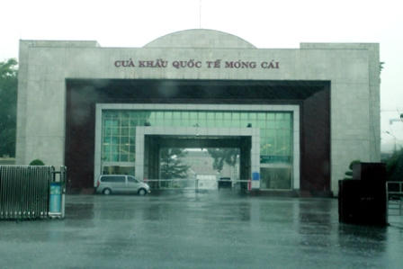 Quảng Ninh: Nhiều nhà bị tốc mái, cây cối đổ… sau khi bão số 2 đi qua 