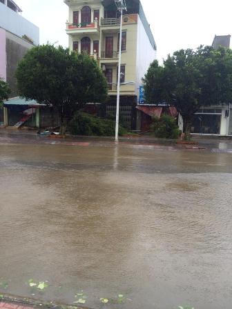 Quảng Ninh: Nhiều nhà bị tốc mái, cây cối đổ… sau khi bão số 2 đi qua 