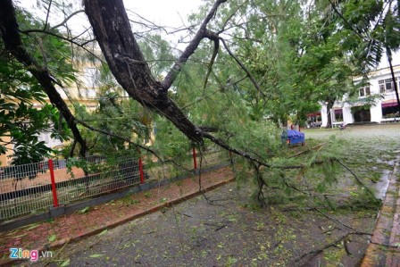 Quảng Ninh thiệt hại khoảng 20 tỷ đồng sau bão Kalmaegi 