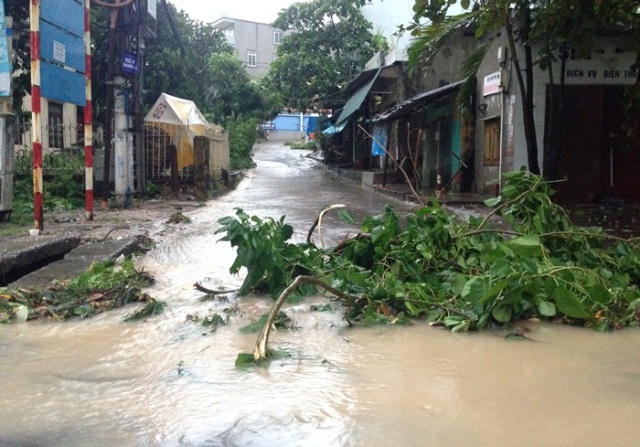 Quảng Ninh thiệt hại khoảng 20 tỷ đồng sau bão Kalmaegi 