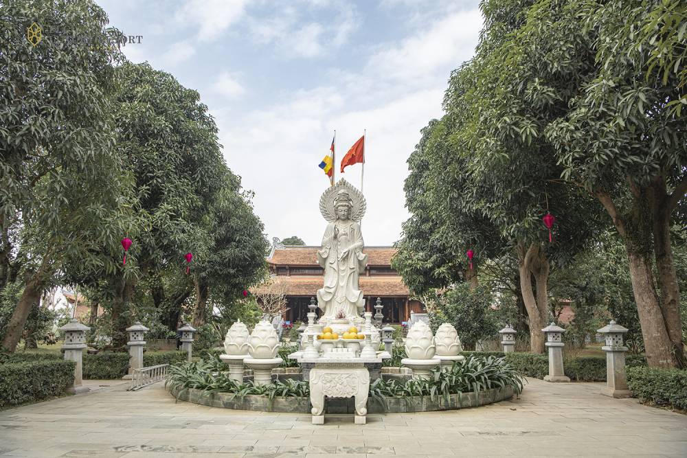 Đón Tết cổ truyền tại khách sạn 5 sao: trải nghiệm đặc biệt thu hút hàng vạn du khách 