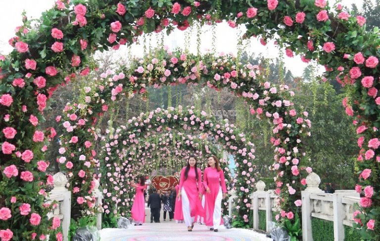 3 trải nghiệm nghỉ dưỡng độc đáo giữa thiên đường hoa ven biển tại Thanh Hóa  