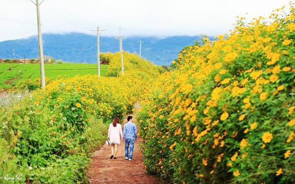 Lên rừng hay xuống biển hậu Covid – 19: Cơ hội hiếm có cho những điểm đến mới