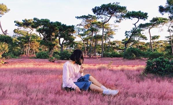 Gia Lai: Những điểm đến đẹp như tranh giữa đại ngàn