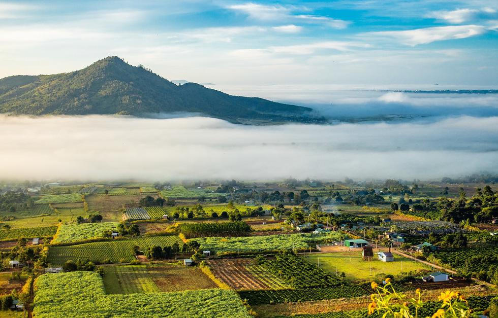 Làn sóng “bỏ phố về rừng”, theo chân ông lớn lên Tây Nguyên săn đất