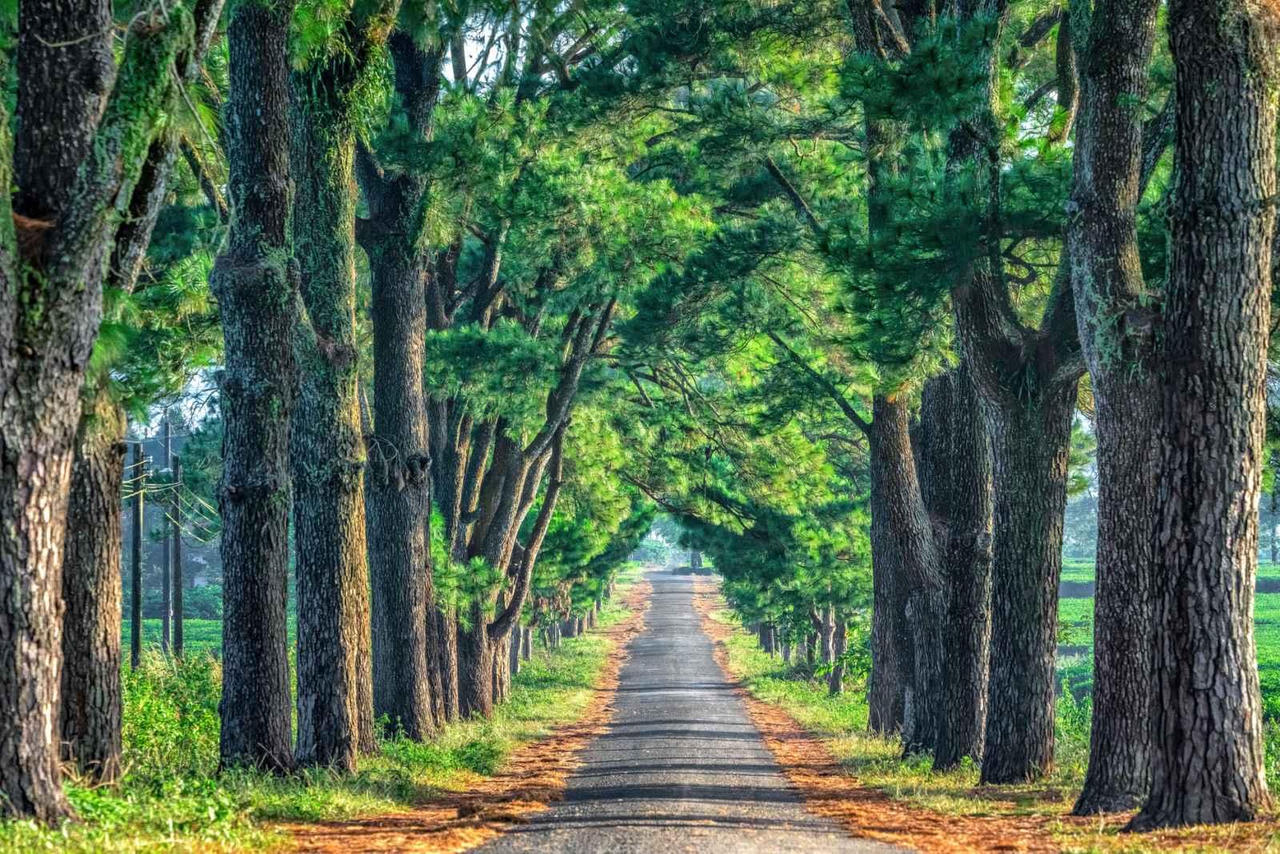 Được ví như “Đà Lạt thứ 2”, đâu là lực đẩy đưa du lịch Gia Lai cất cánh?