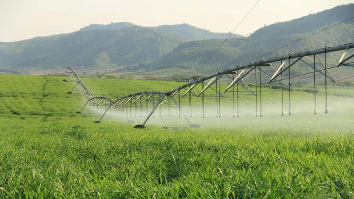 TH true MILK đạt Giải thưởng Chất lượng quốc tế Châu Á – Thái Bình Dương 2021