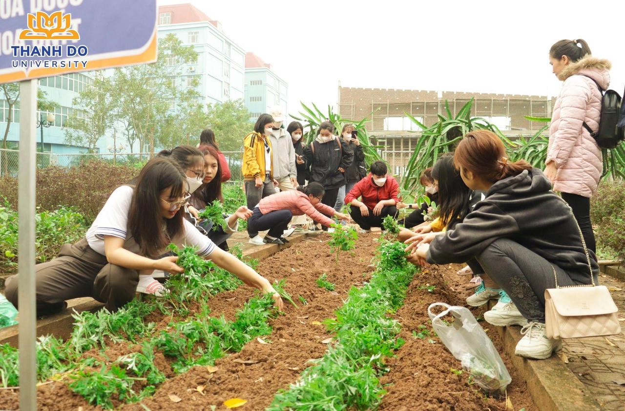 'Tết trồng cây' trường Đại học Thành Đô: Làm đẹp cho đời, làm đẹp cho người