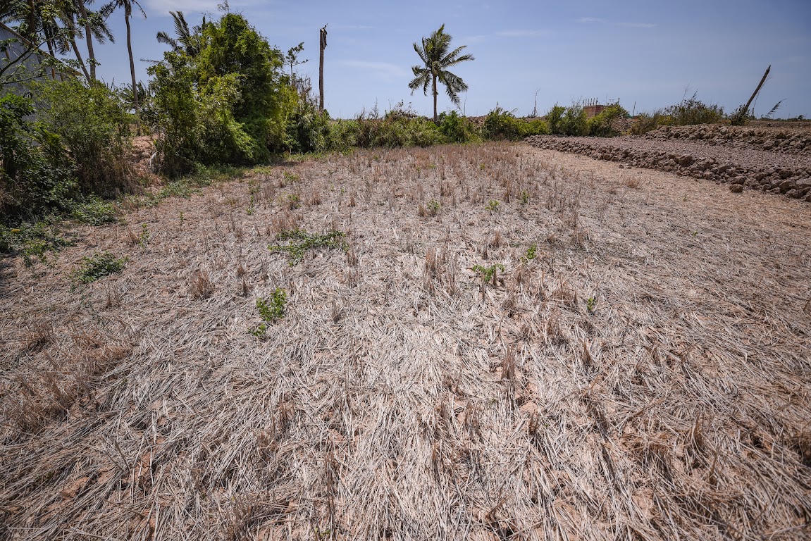 'Siêu bồn nhựa Plasman' tung chính sách 1 đổi 1