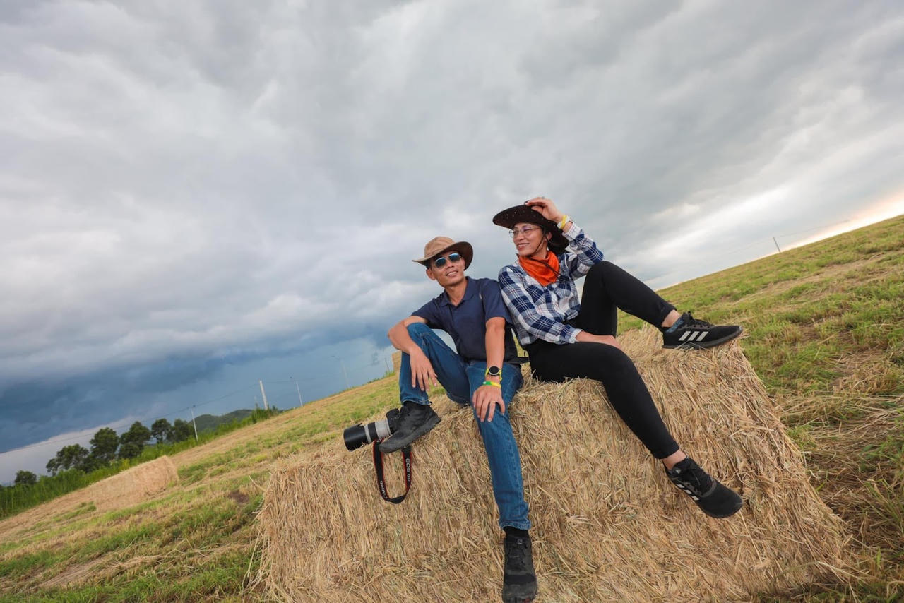 Đồng cỏ hơn 2.300 ha ven đường Hồ Chí Minh thành điểm check-in