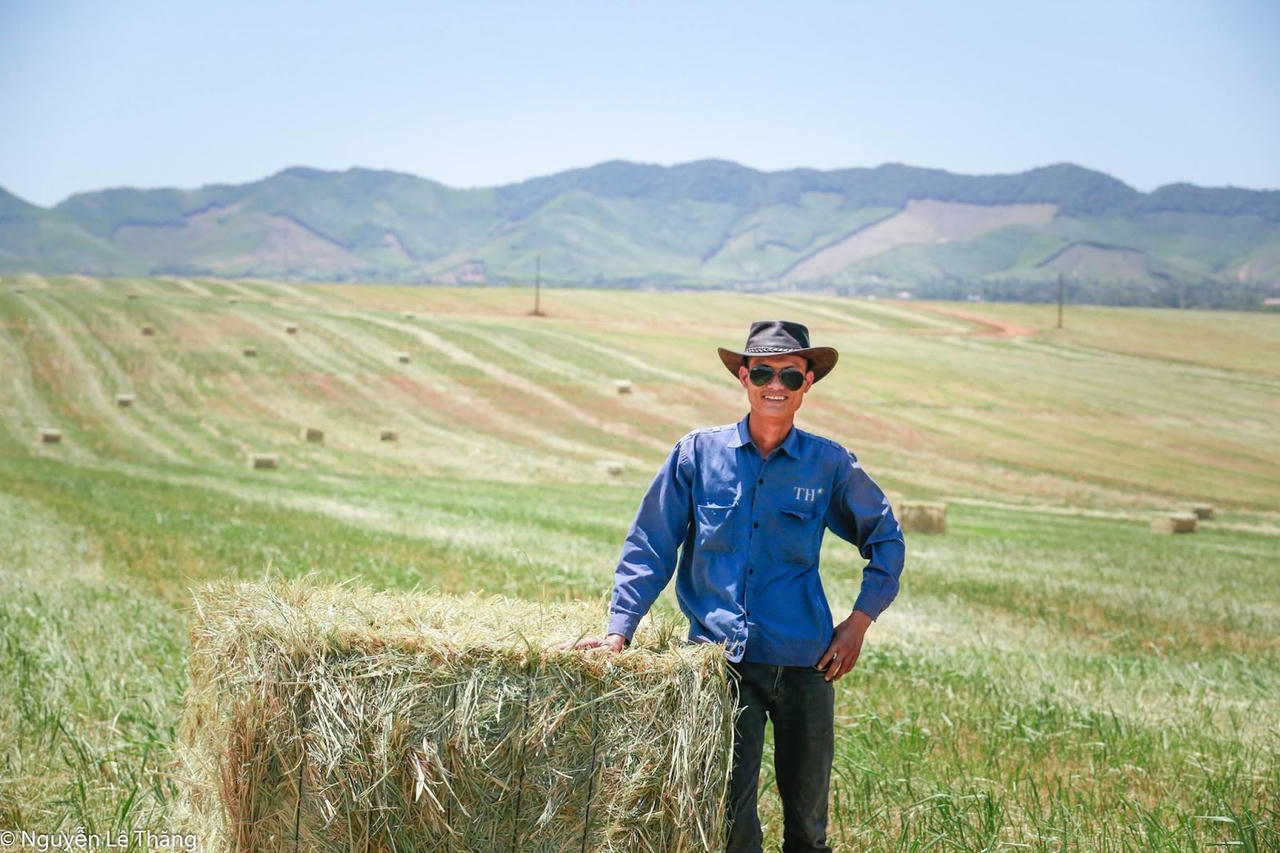 Đồng cỏ hơn 2.300 ha ven đường Hồ Chí Minh thành điểm check-in