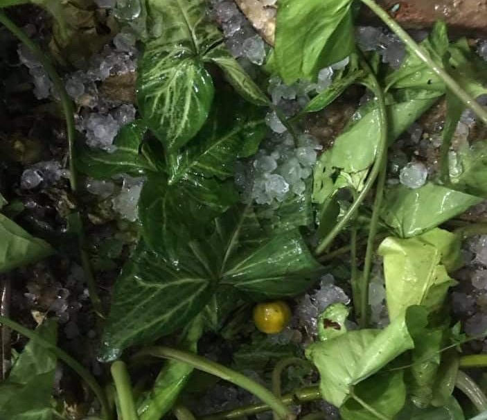 Mưa đá rơi trắng xóa trong đêm ở Mộc Châu