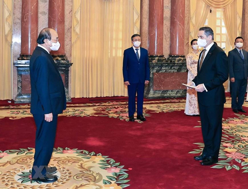 Chủ tịch nước tiếp Đại sứ của bốn nước đến trình Quốc thư