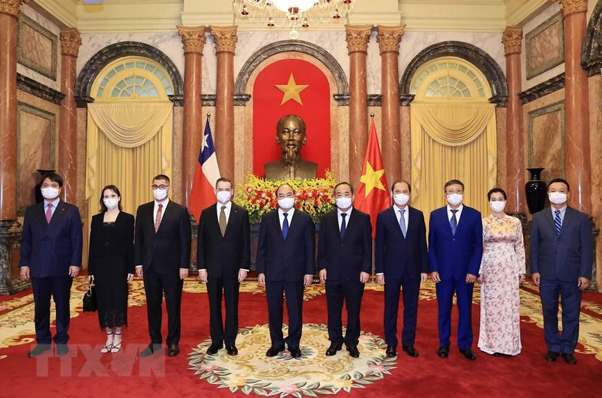 Chủ tịch nước tiếp Đại sứ của bốn nước đến trình Quốc thư