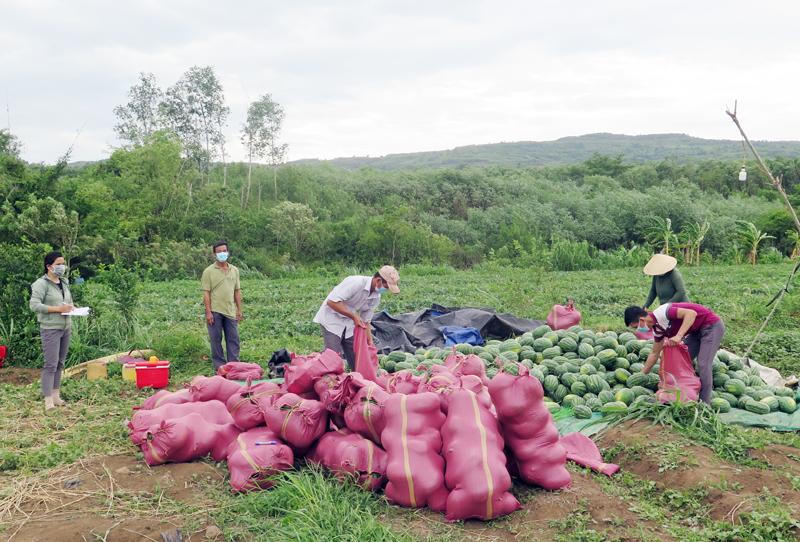 Nam Trung Bộ duy trì sản xuất, ổn định đời sống nhân dân