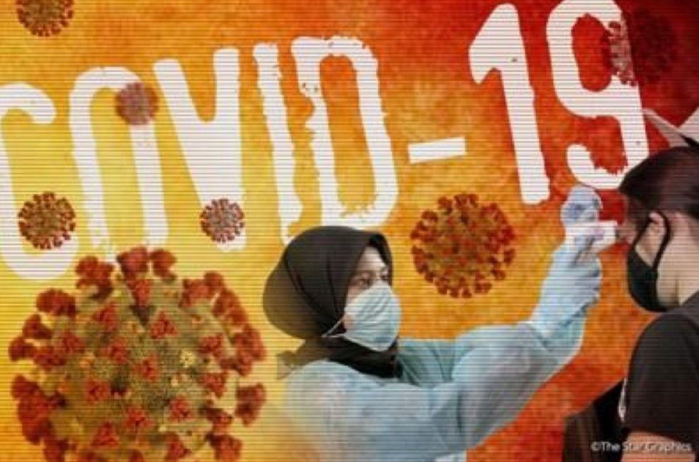 Phát hiện 'tổ tiên gần nhất của SARS-CoV-2' 