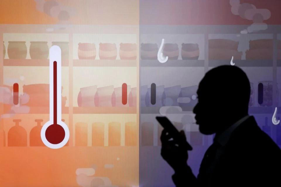 19 tỷ USD để đầu tư vào việc bảo vệ và phục hồi rừng