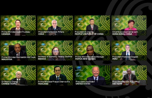 Chủ tịch nước kêu gọi APEC đầu tư phát triển xanh ở Việt Nam