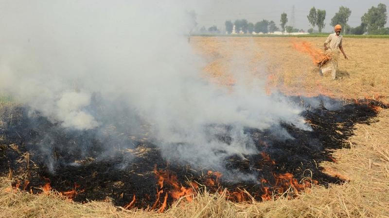 Khói độc bao trùm thủ đô, Tòa án đề nghị ban hành lệnh phong tỏa
