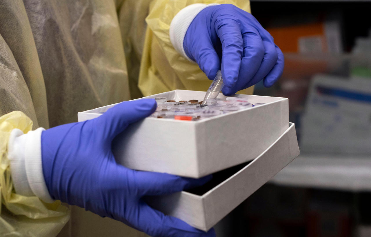 Biến thể virus corona mới từ Châu Phi nguy hiểm đến mức nào?